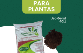 Substrato Para Plantas 40 Litros